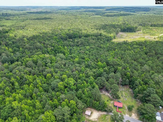 0 Mcdaniel Rd, Home with 0 bedrooms, 0 bathrooms and null parking in Rembert SC | Image 17