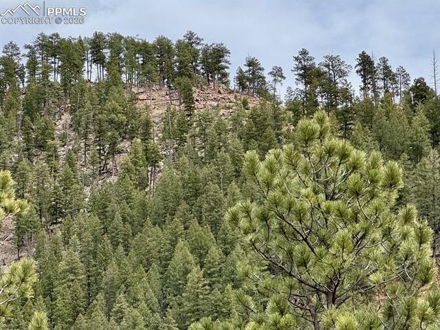 Land in Woodland Park 4