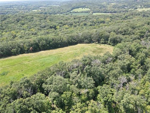 3 Lot Tanglefoot Farms Road, Festus, MO, 63028 | Card Image