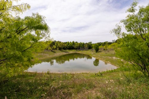 525 Jack Rabbit Circle, Zephyr, TX, 76890 | Card Image