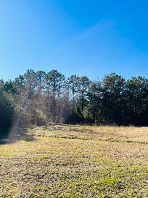 31 Oak Bay Dr, Georgetown, SC, 29440-4095 | Card Image