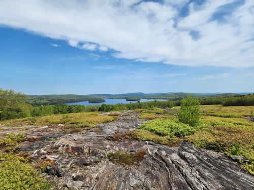 1 Whispering Berries Hill, Liberty, ME, 04949 | Card Image