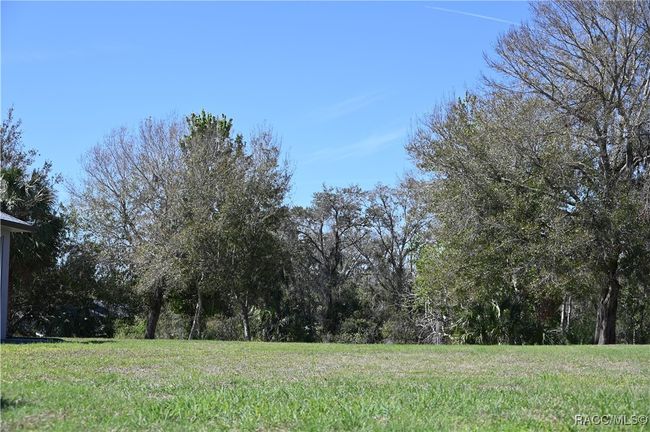 9648 E White Egret Path, Home with 0 bedrooms, 0 bathrooms and null parking in INVERNESS FL | Image 10