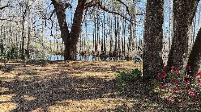 9193 S Great Oaks Dr, House other with 2 bedrooms, 2 bathrooms and 1 parking in Floral City FL | Image 33