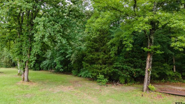 2206 E State Highway 154, Home with 0 bedrooms, 0 bathrooms and null parking in Quitman TX | Image 7