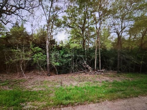 0 S Swan Lake Dr, Caldwell, TX, 77836 | Card Image