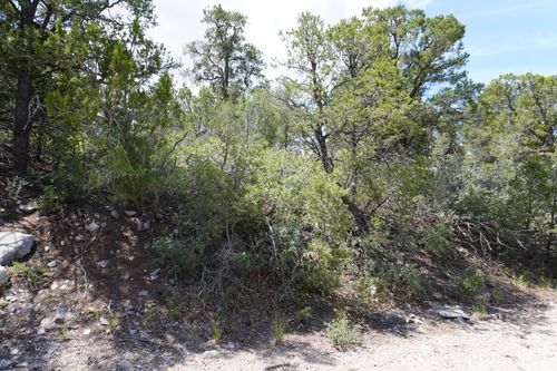 263 Five Hills Dr, Tijeras, NM, 87059 | Card Image