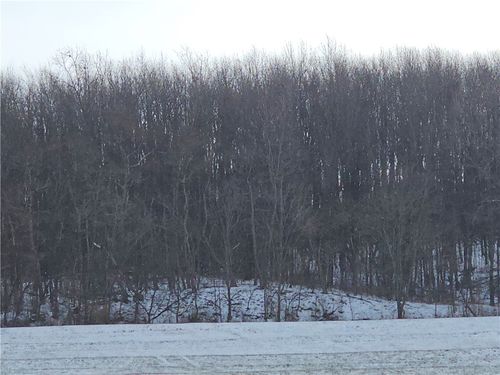 0 Concord Church Rd, Beaver Falls, PA, 15010 | Card Image