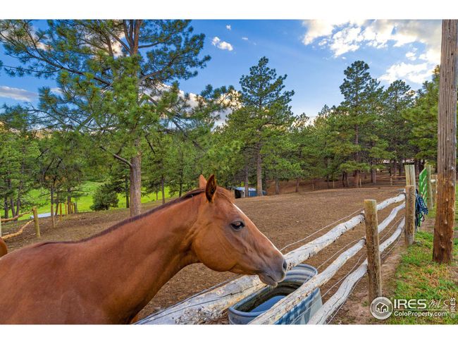 89 Aspen Leaf Ln, House other with 5 bedrooms, 3 bathrooms and null parking in Bellvue CO | Image 36