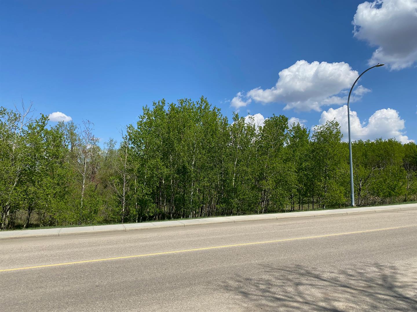 Land in Ponoka 5