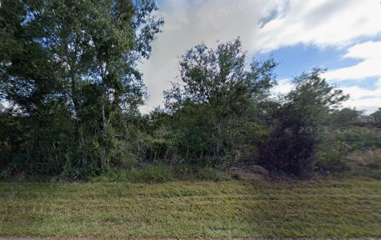 Land in PORT CHARLOTTE