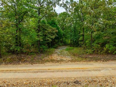 0 Hwy 90 W, Home with 0 bedrooms, 0 bathrooms and null parking in Ravenden AR | Image 3