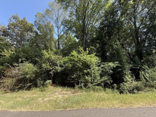 0 W Cook St, Palestine, TX, 75801 | Card Image