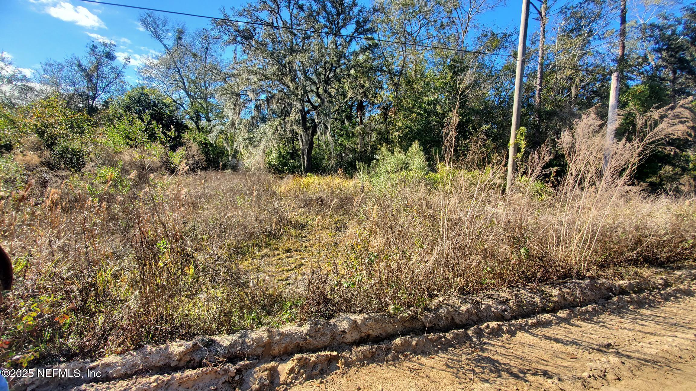 Land in Interlachen 3
