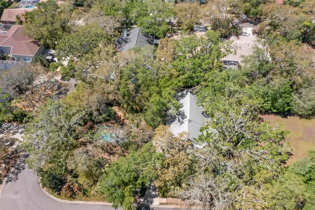 187 Sage Cir, House other with 3 bedrooms, 2 bathrooms and null parking in Crystal Beach FL | Image 49
