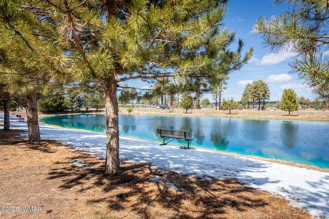 X_Pinecrest_10 | Image 30