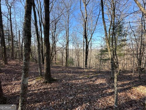 1640-LOT 1640 Hunter Drive, Talking Rock, GA, 30175 | Card Image