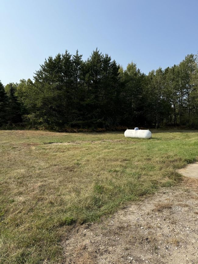 Back Yard | Image 25