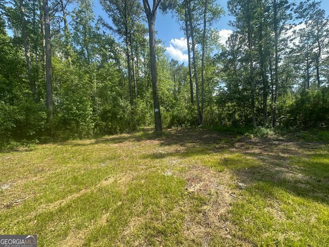 925 Cleary Rd, House other with 3 bedrooms, 2 bathrooms and null parking in Brooklet GA | Image 42