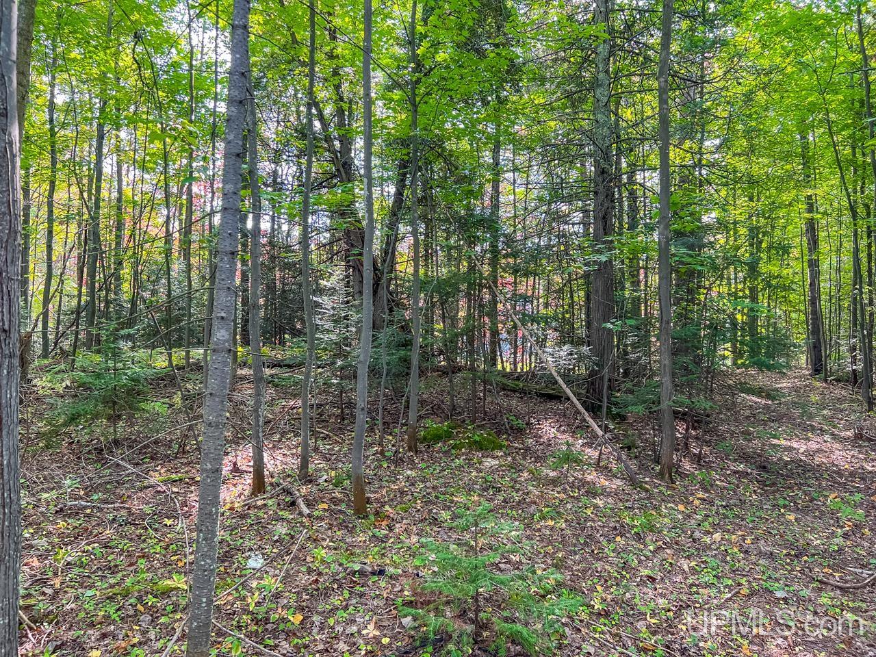 Land in Marquette 4