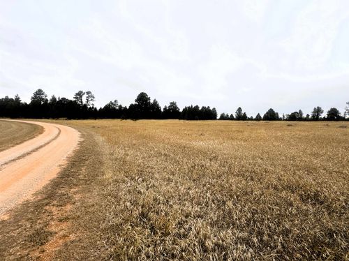 9 Colt Trl, Sundance, WY, 82729-9592 | Card Image