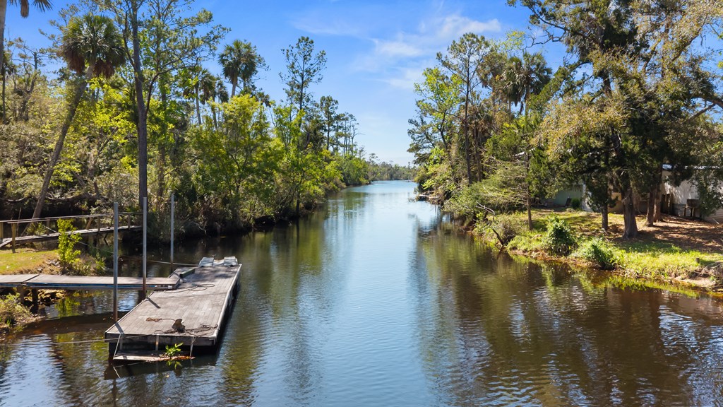 Residential in Steinhatchee 4
