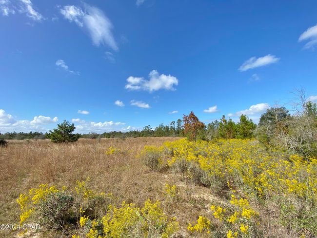 21332 Nw Melvin New Grade Rd, Home with 0 bedrooms, 0 bathrooms and null parking in Altha FL | Image 6