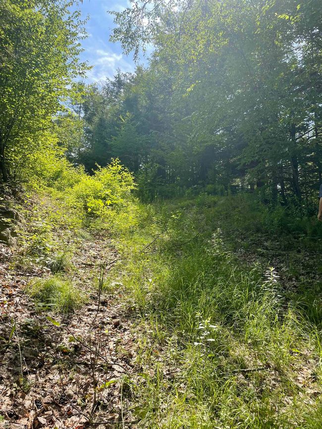 63 New Boston Rd, Home with 0 bedrooms, 0 bathrooms and null parking in Francestown NH | Image 12