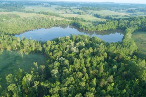 53AC Hankins Rd, Rock Island, TN, 38581-3719 | Card Image