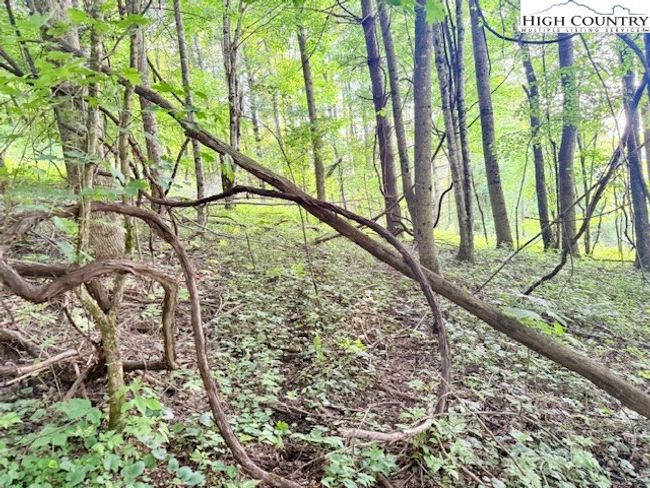 1 Oak Trail, Home with 0 bedrooms, 0 bathrooms and null parking in Creston NC | Image 15