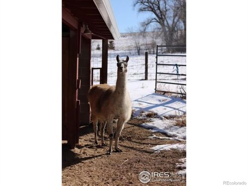 1034 Spring Dr, Boulder, CO, 80303-5029 | Card Image