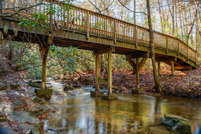 0 Long Branch Rd, Home with 0 bedrooms, 0 bathrooms and null parking in Rising Fawn GA | Image 40