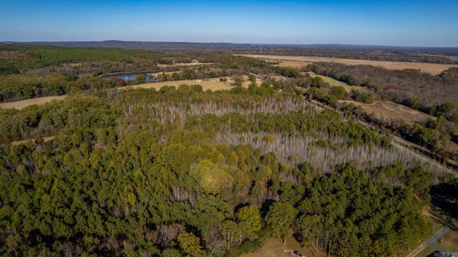 Lot 2 Roland Woods, Hwy 300, Home with 0 bedrooms, 0 bathrooms and null parking in Roland AR | Image 11
