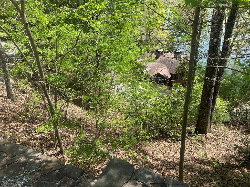 Land in Robbinsville 4