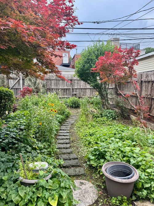 garden-738 S Oakley Boulevard, Chicago, IL, 60612 | Card Image
