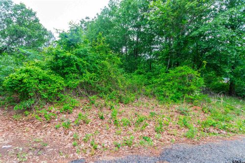 327 Fairway Ave, Tyler, TX, 75702 | Card Image