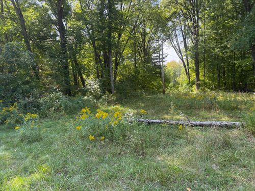 VL Carol St, Newaygo, MI, 49337 | Card Image