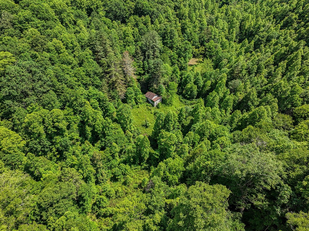 Land in Grundy 5
