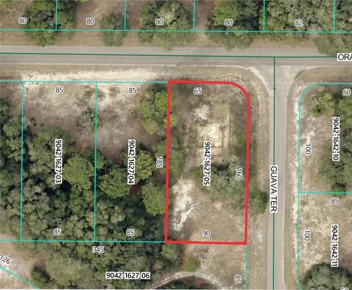 11745 Orange Rd, Ocklawaha, FL, 32179-0003 | Card Image