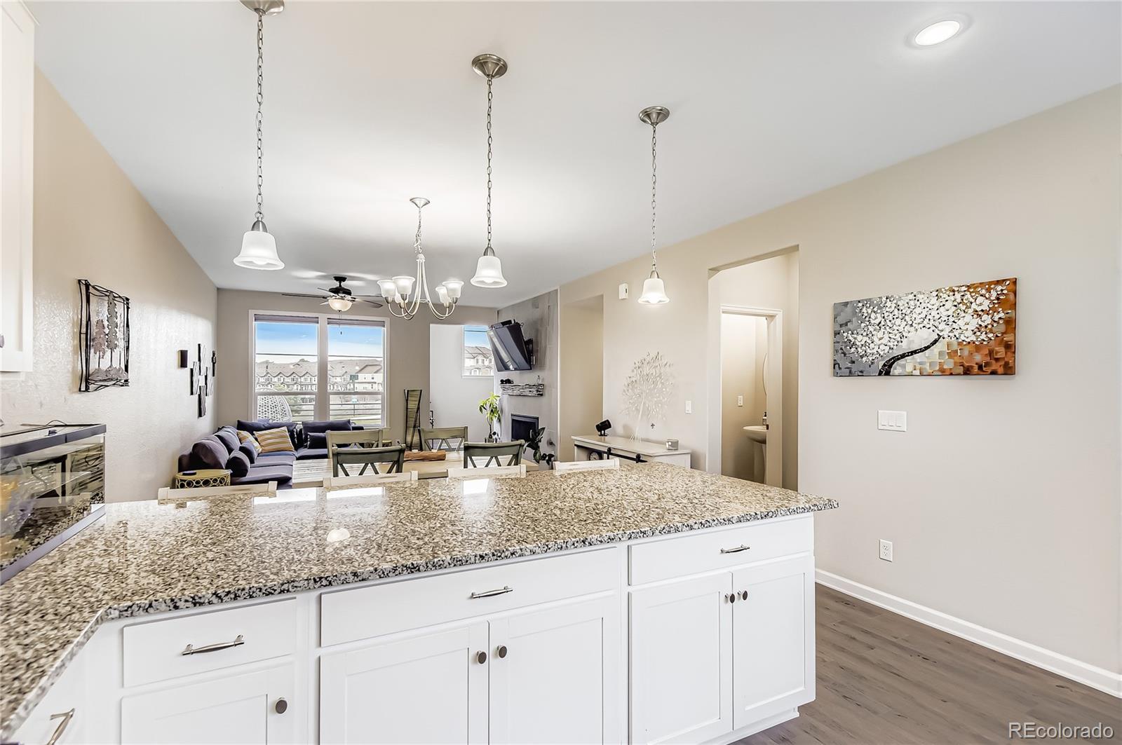 Residential in Castle Rock 4