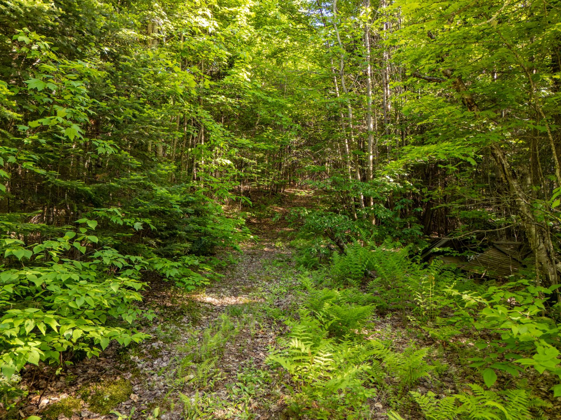Land in Lac-Supérieur 5