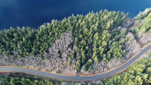 lot-7-betton-view-subdiv-Lot 7 Legal Address Only, Ketchikan, AK, 99901 | Card Image