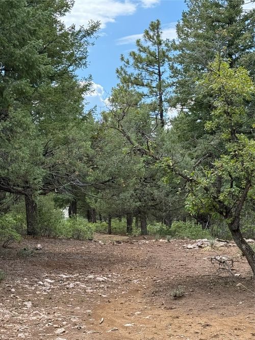 4 Lakeview, Chama, NM, 87520 | Card Image