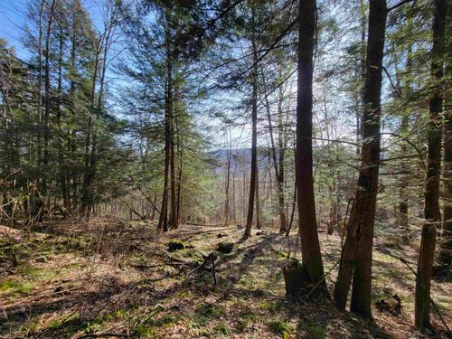 1890-B Bristol Road, Monkton, VT, 05469 | Card Image