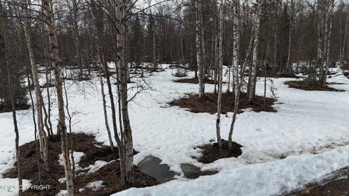 15850 E Willow Cir, Talkeetna, AK, 99676 | Card Image