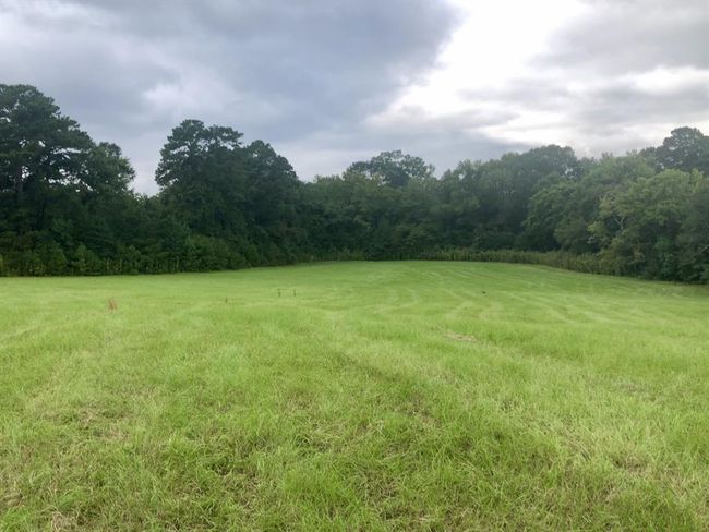 2290 Interstate 45 S, Home with 3 bedrooms, 2 bathrooms and 2 parking in New Waverly TX | Image 21