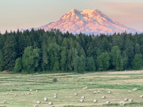 44302 32nd Ave E, Eatonville, WA, 98328 | Card Image