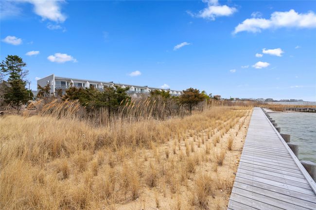 Vie of dock area | Image 25
