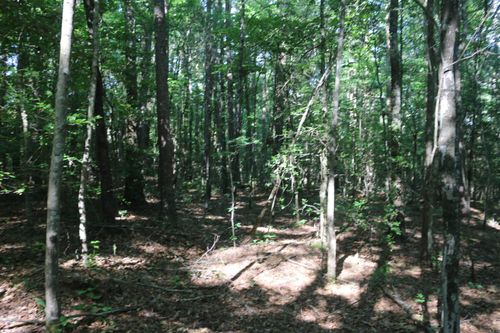 0000 Polk Rd 47, Mena, AR, 71953 | Card Image
