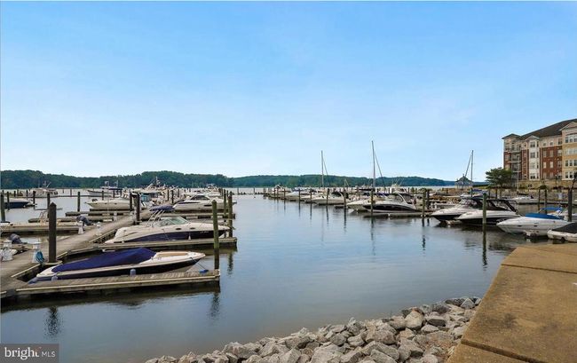 APT-405 - 680 Watermans Dr, Condo with 2 bedrooms, 3 bathrooms and null parking in Woodbridge VA | Image 33